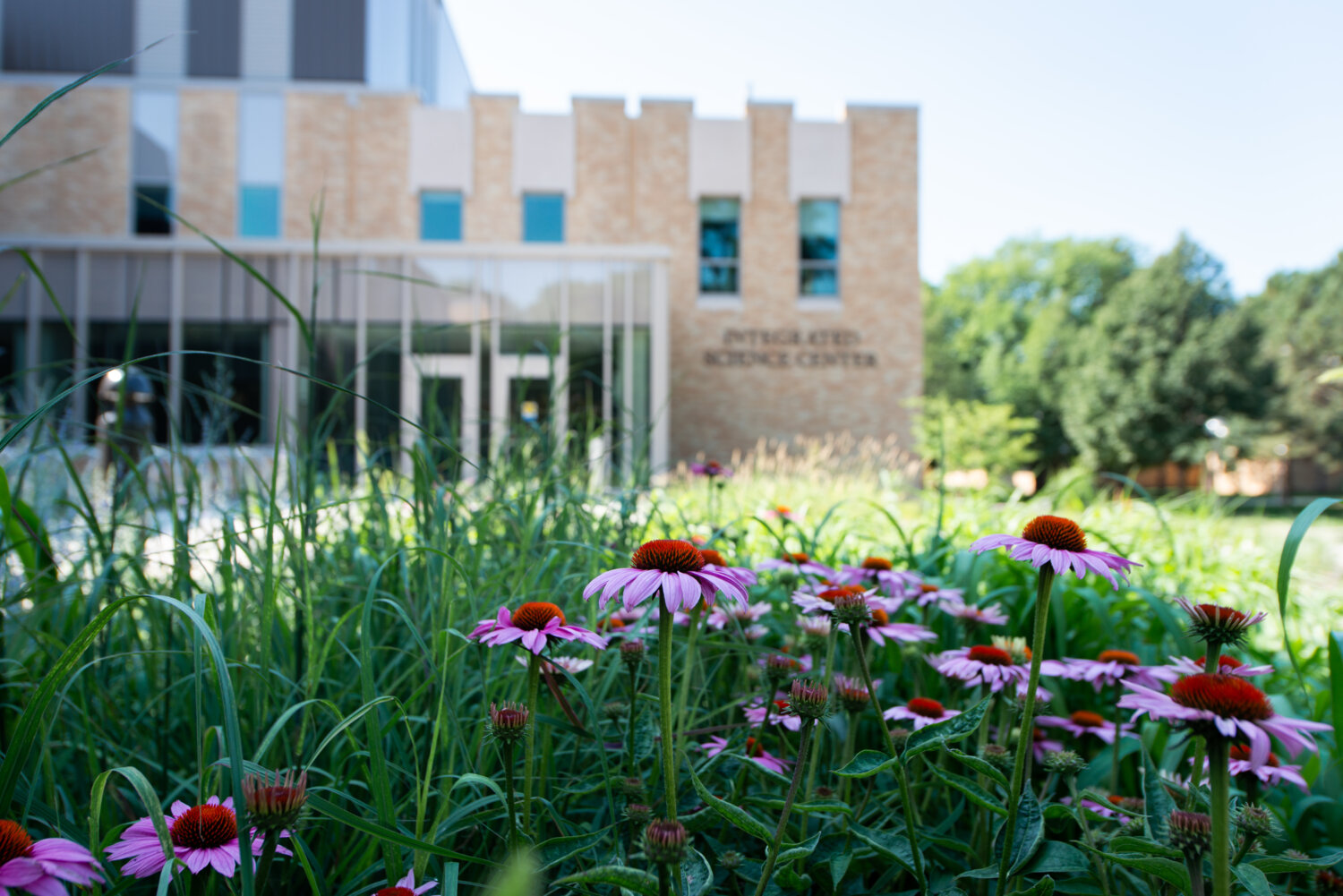 Concordia Receives Silver STARS Rating Concordia College