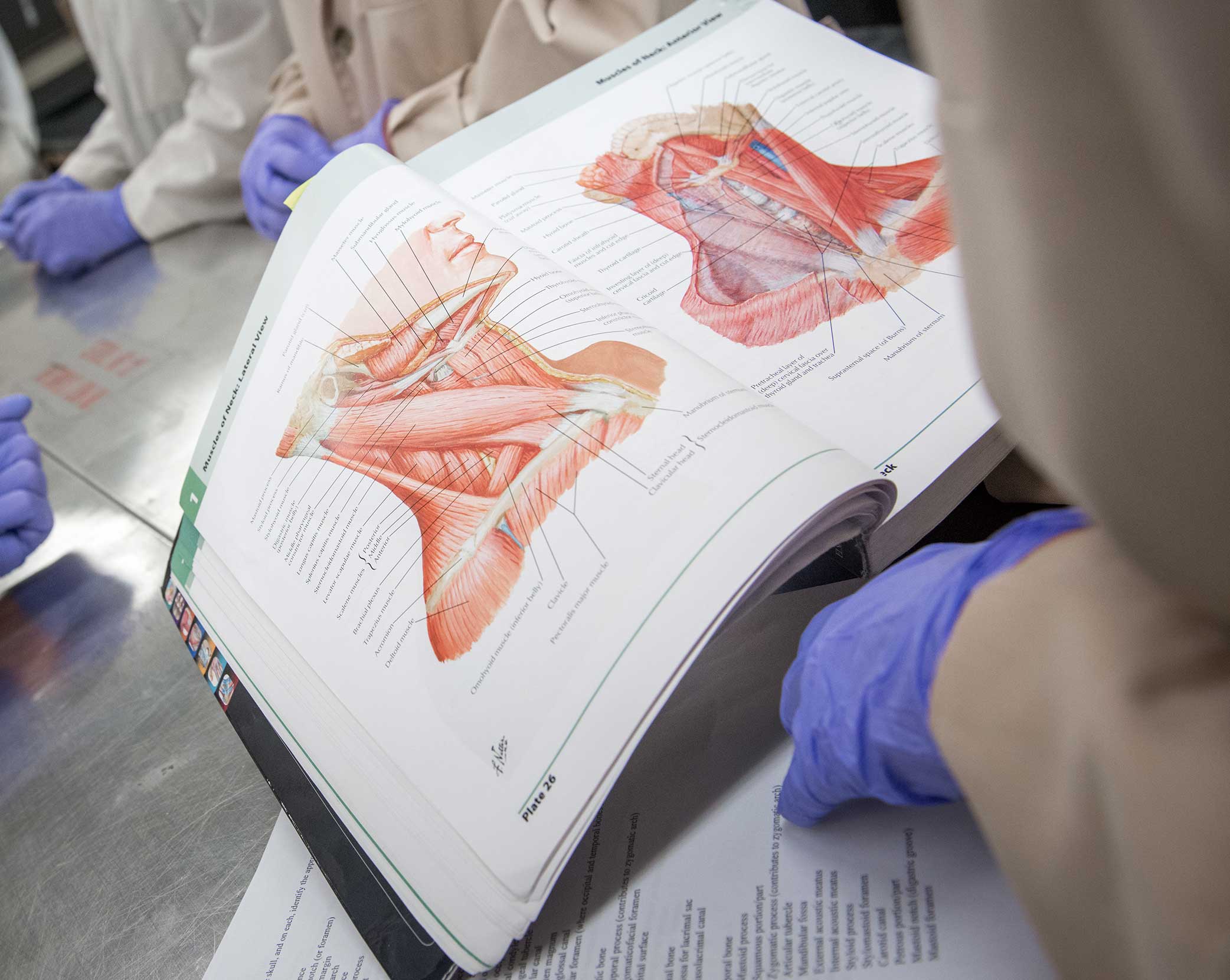 concordia-adds-post-baccalaureate-premedical-program-concordia-college