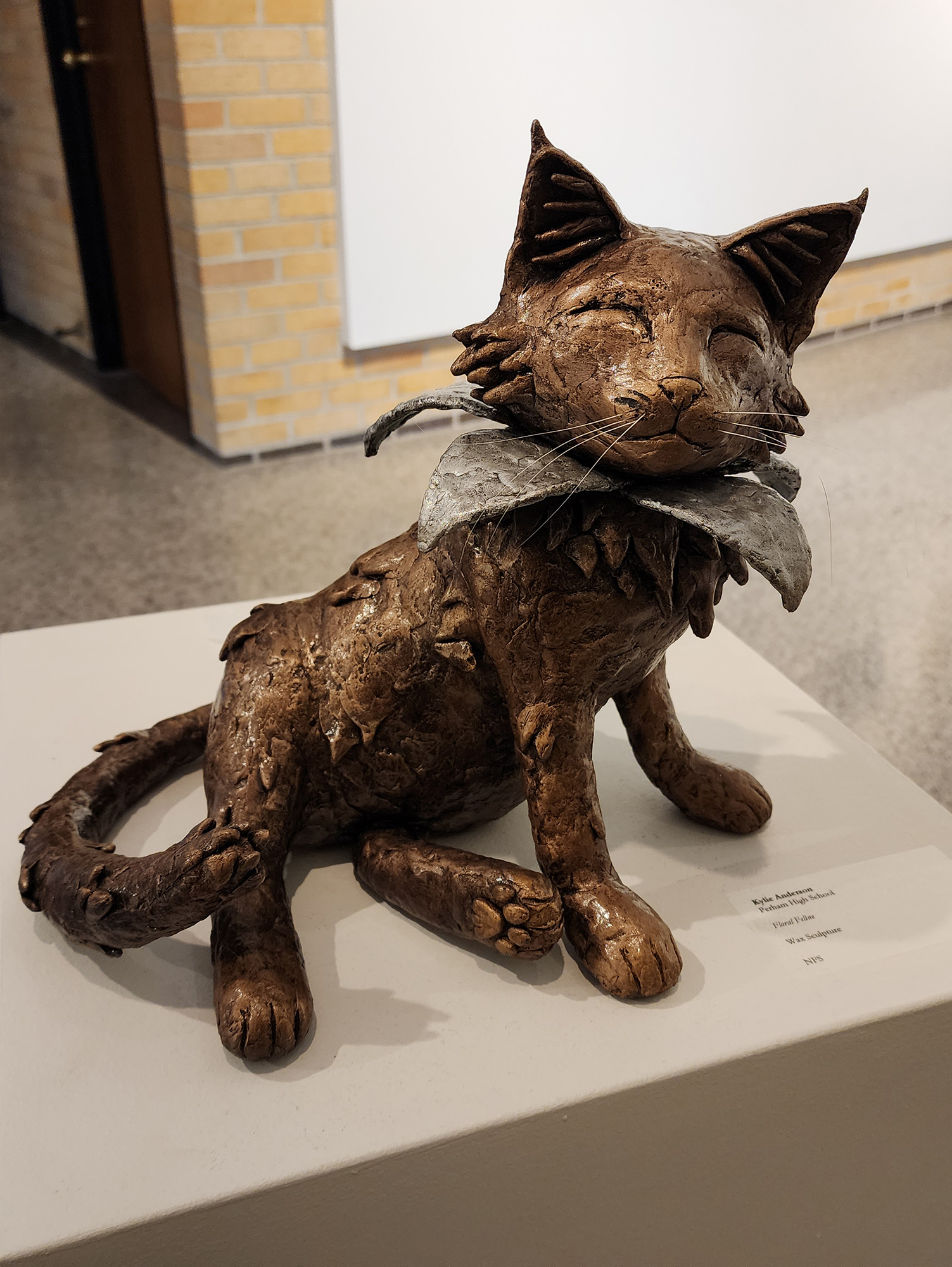 By Kylie Anderson, Perham.